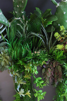 Cacti Grey Fiberglass, sukulenty ze kaktusem w szarej donicy,