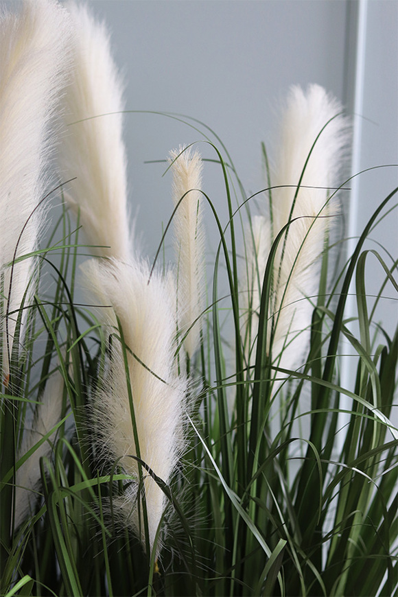 Dania, kompozycja z traw pampasowych w białej donicy, wys.145cm