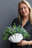 Antylla Marino Shell 2, kompozycja sukulenty w muszli