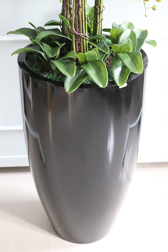 Big Fiberglass Grande Black, duży storczyk w czarnej donicy, wys.155cm 