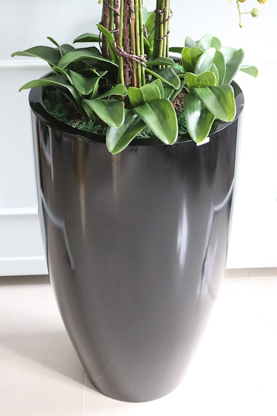 Big Fiberglass Grande Black, duży storczyk w czarnej donicy, wys.155cm 