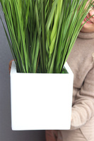 Simple Fiberglass White, kompozycja z traw pampasowych w kwadratowej donicy, wys.112cm 