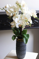 Orchid Ferana Long, sztuczny storczyk w szarej osłonce