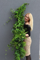 Jungle 2, girlanda z zielonych zwisających pędów, dł.100cm