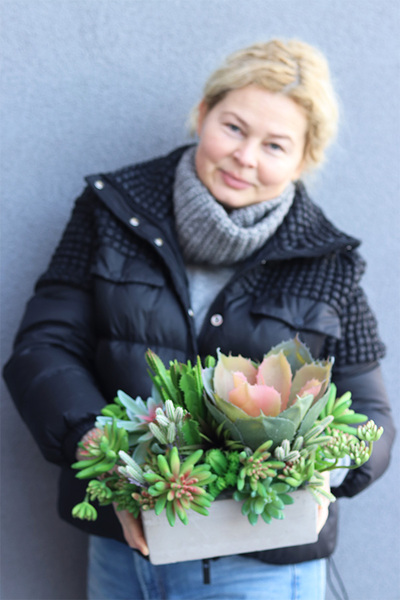 Nord Concrete 2, kompozycja sukulenty w betonowej donicy