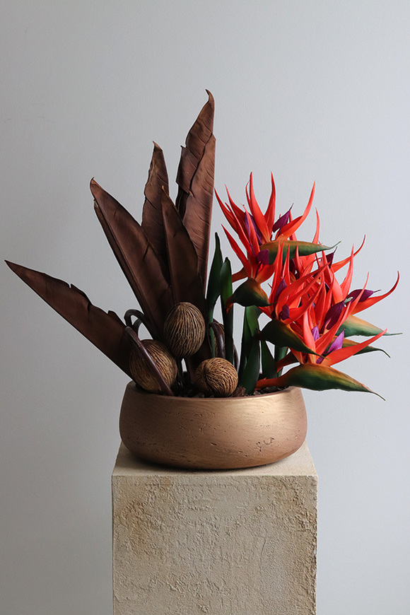 Strelicja Paradiso, nowoczesna dekoracja w misie