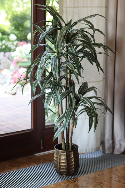 Dracena Bellis, sztuczna roślina w doniczce