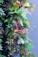 Premium Autumn, barwna girlanda jesienna, dł.1m