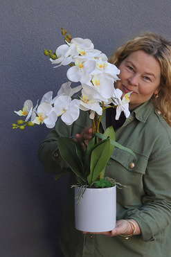 Luise Figaro White, gumowy storczyk w prostej donicy, wys.63cm