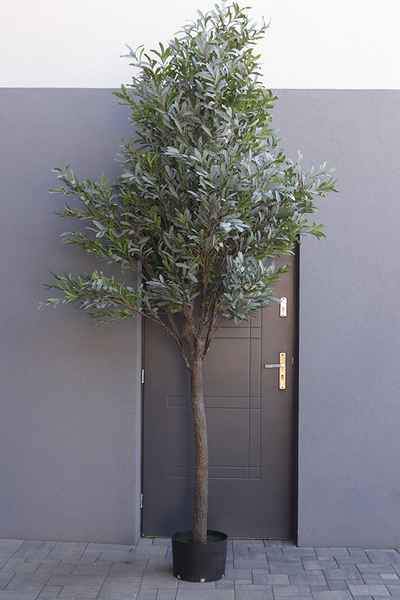 Oliwka Premium XXL, sztuczna roślina drzewko oliwne