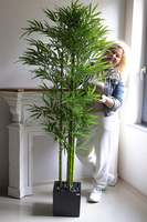 Bambus Fiberglass, sztuczna roślina w czarnej donicy