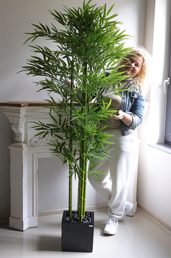 Bambus Fiberglass, sztuczna roślina w czarnej donicy, wys.182cm