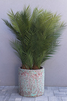 Naturella Haiti, sztuczna palma w donicy, wys.130cm