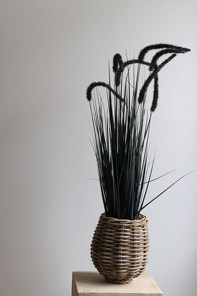 Calladio, trawy z czarnymi kłosami w koszu, wys.85cm