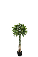 Pachira, wysokiej jakości sztuczna roślina drzewko