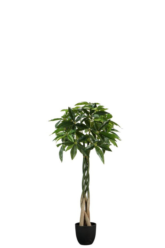 Pachira, wysokiej jakości sztuczna roślina drzewko