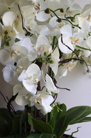 Allenta, sztuczny storczyk w ceramicznej osłonce