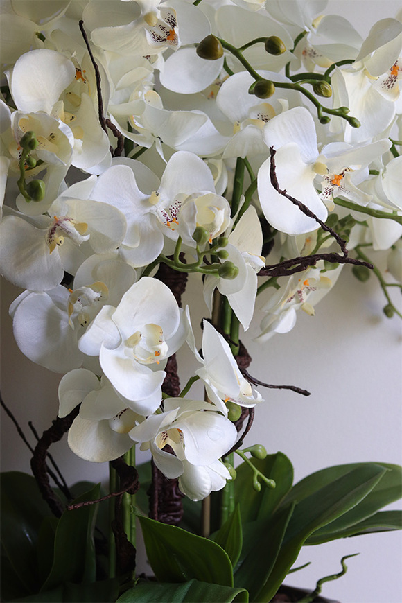 Allenta, sztuczny storczyk w ceramicznej osłonce