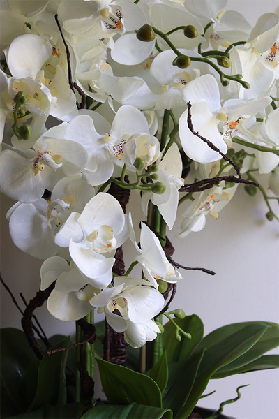 Allenta, sztuczny storczyk w ceramicznej osłonce