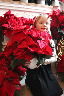 Gwiazda Betlejemska Simple, wysokiej jakości sztuczna roślina, 1szt, wym.35x35cm