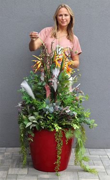 Feretia Modern Classico, kompozycja ze strelicją w czerwonej donicy, wys.135cm 