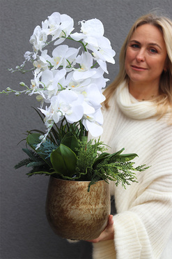 OD RĘKI White Snow Oliver, elegancki storczyk zimowy, wys.64cm