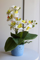 Mini Colors Concrete, sztuczny storczyk w niebieskiej donicy