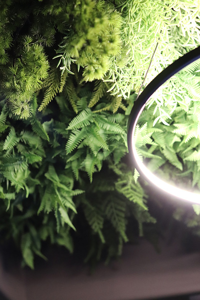 EcoGreen Wall B, zielona ściana z roślin sztucznych panel, 1m kwadratowy