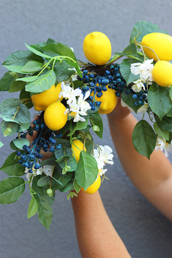 Lemonade, zielona girlanda dekoracyjna z owocami, dł.60cm