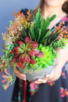 City Life, kompozycja sukulenty w donicy etno, wys.33cm