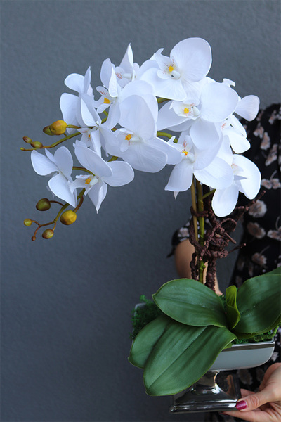 Gusta, szuczny storczyk w pucharze glamour, wys.54cm 