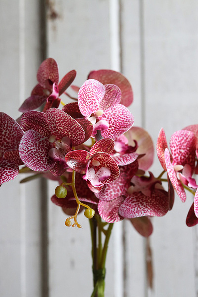 Granada Pudrowa Łuna, gumowy storczyk w srebrnej donicy, wys.65cm