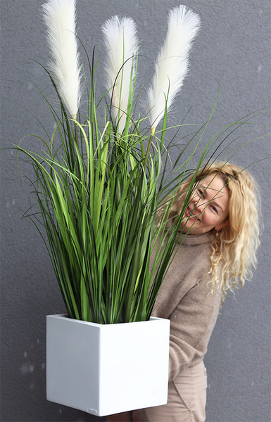 Simple Fiberglass White, kompozycja z traw pampasowych w kwadratowej donicy, wys.112cm 