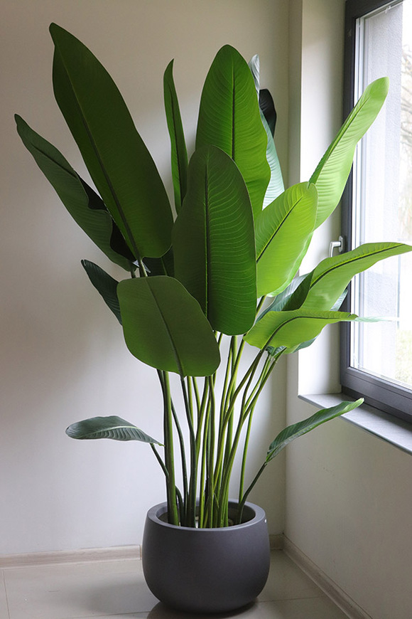 Bananowiec Walter, sztuczna roślina w donicy fiberglass