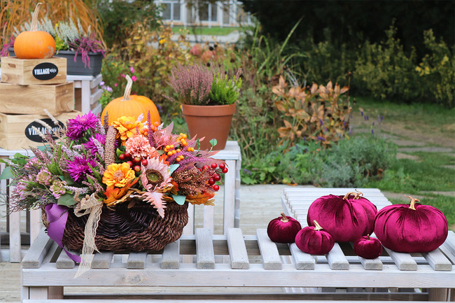 Wrzosowisko, barwny jesienny kosz z kwiatami