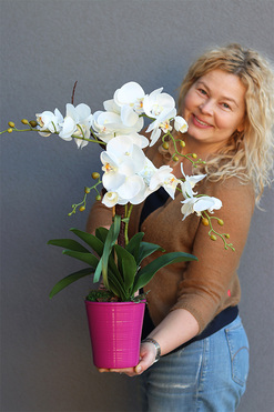 Pink Floor, storczyk w różowej donicy, wys.57cm