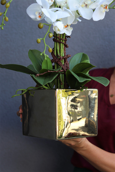 Złota Dolina, sztuczny storczyk w donicy kwadratowej duży, wys.64cm