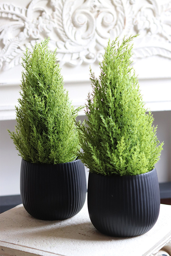 Cyprys Moderno, drzewko sztuczne w donicy