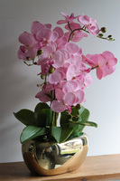 Pink&Gold 2, storczyk w złotej donicy glamour