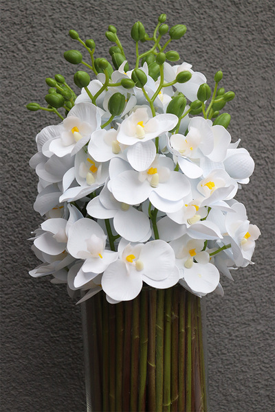 Glassier Hellissa, storczyki w szklanym wazonie