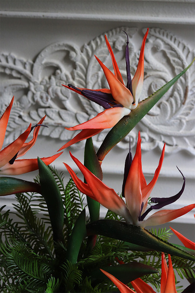 Strelicja Dekina Red, egzotyczna kompozycja w wazonie