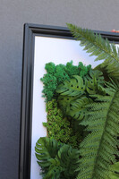 Lisbon Forest Sukulenty, czarna jednostronna rama