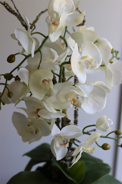 Szachownica, sztuczny storczyk w doniczce