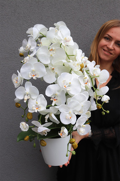 White House Mediolan 2, sztuczny storczyk w donicy, wys.72cm