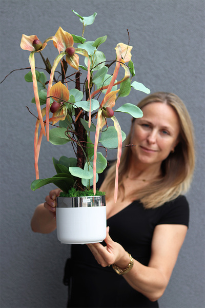 Orchidesa Moneti, egzotyczny storczyk z eukaliptusem, wys.63cm