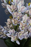 Jagodowe Cymbydium, storczyk w donicy klienta