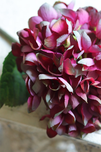 Hydrangea Mood, bukiet różowo-fioletowych hortensji