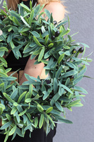 Zielony Dom, zielony wianek na drzwi z oliwkami