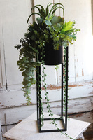 Cybilla, kompozycja sukulenty w donicy na stojaku, wys.69cm