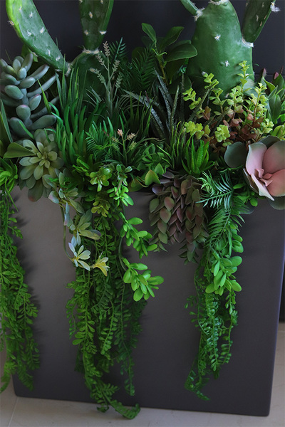 Cacti Grey Fiberglass, sukulenty ze kaktusem w szarej donicy,